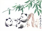 熊猫全家福