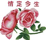 十字绣源文件 情定今生 图纸