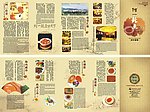 阿一鲍鱼宣传折页