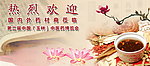 中医药博览会展板