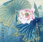 荷花工笔画