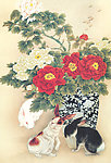 花瓶兔
