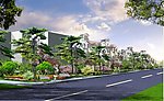 道路绿化