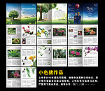 园林花卉图谱画册