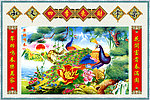 孔雀图