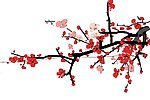 傲骨梅花