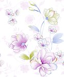 玉兰花