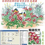 鸟语花香