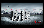 企业历程