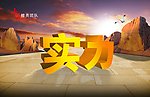 团队实力
