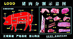 猪肉分割图