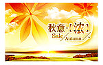 秋天 特卖