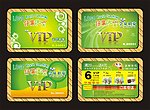 VIP贵宾卡 VIP会员卡