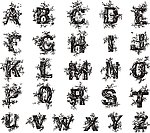 字母 设计