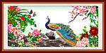 花鸟画