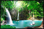 自然风光 湖边风景 流水生财