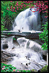湖边风景 流水生财 瀑布风光