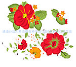 太阳花大红花手绘罂粟花餐具花朵