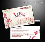精美时尚vip会员卡
