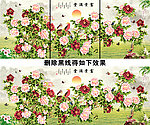 花开富贵