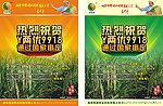 封面设计 画册封面