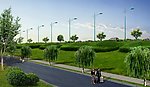 堤坝防护岸绿化效果图