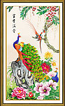 花开富贵