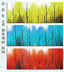 发财树装饰画无框画