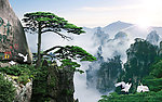 山水画 黄山迎客松