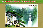 山水 风景 迎客松