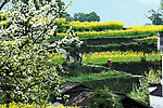 婺源美景