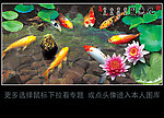 九鱼图