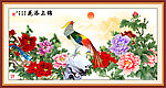 牡丹 花开富贵