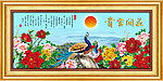 花开富贵 国画 牡丹 孔雀 山水画