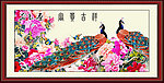 花鸟画 富贵吉祥