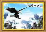 大鹏展翅