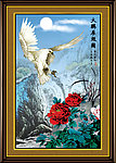 雄鹰 雄鹰展翅
