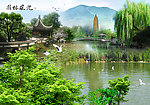 园林风景 园林风光