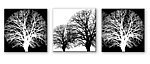 黑白树景无框画