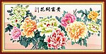 牡丹花