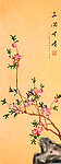 花开无晓