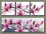 玉兰花开