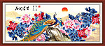 牡丹 花开富贵