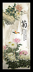 菊花图片