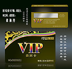 VIP 会员卡 金卡