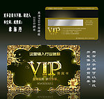 VIP 会员卡 金卡