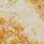 沁香玉石 大理石 玉石板材