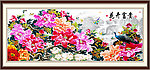 国画 花鸟