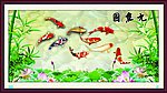 九鱼图