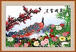 孔雀
